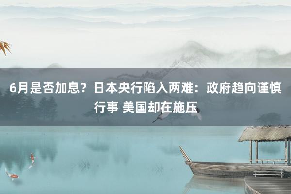 6月是否加息？日本央行陷入两难：政府趋向谨慎行事 美国却在施压