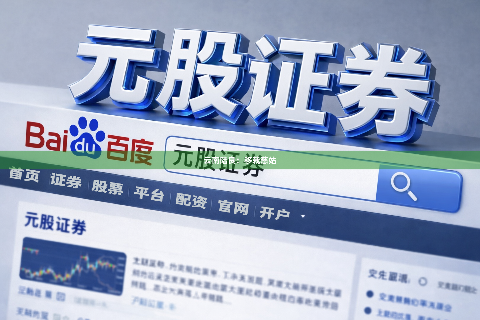 云南陆良：移栽慈姑